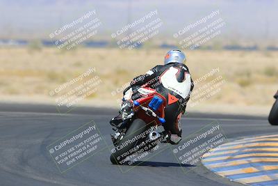 media/May-13-2023-SoCal Trackdays (Sat) [[8a473a8fd1]]/Turn 11 Backside (945am)/